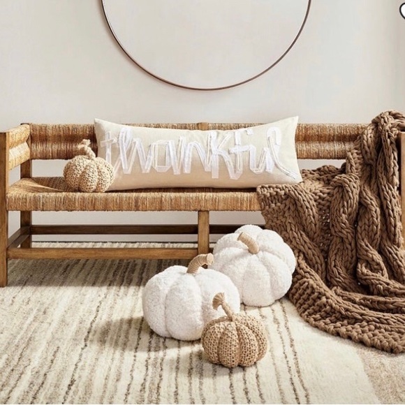Pottery Barn Ivory Pumpkin Pillow - Picture 4 of 8